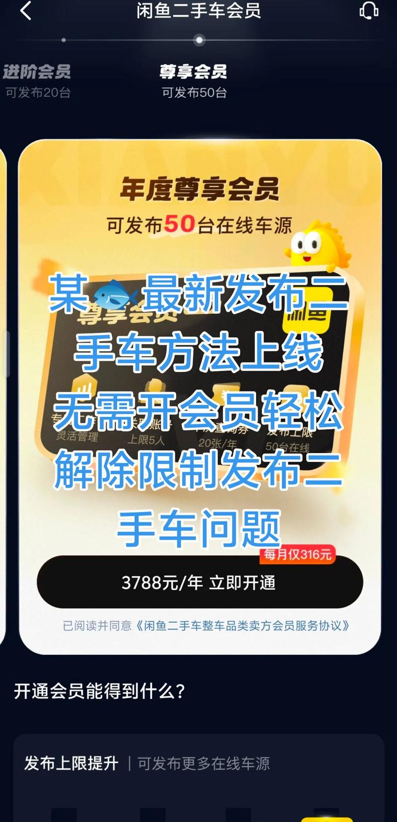闲鱼二手车限聊怎么解除游戏截图