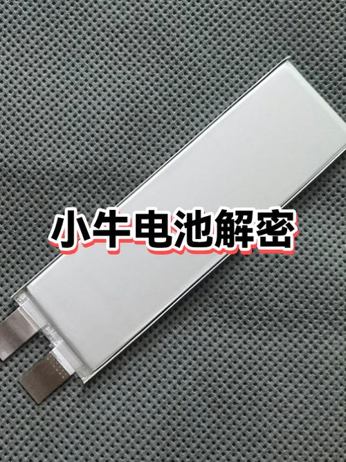 小牛电池用了6年还能用吗图标