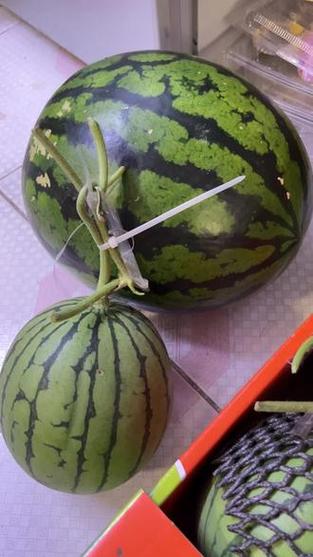 西瓜大好吃还是小好吃缩略图