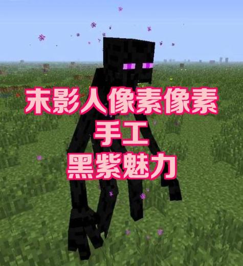 我的世界生成末影人指令图标