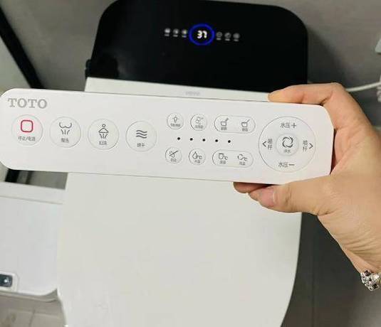 智能马桶怎么语音控制缩略图