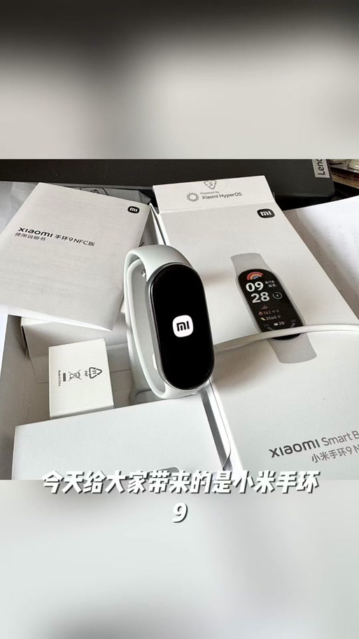 小米手环9pro坐公共交通开通哪张卡图标