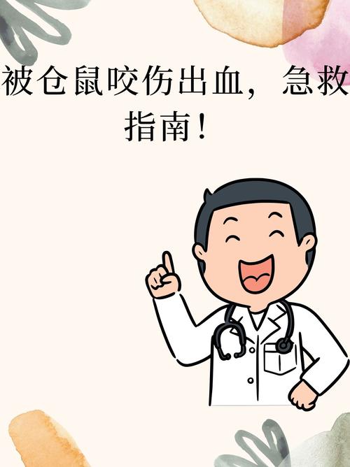 仓鼠摔伤后处理方法游戏截图