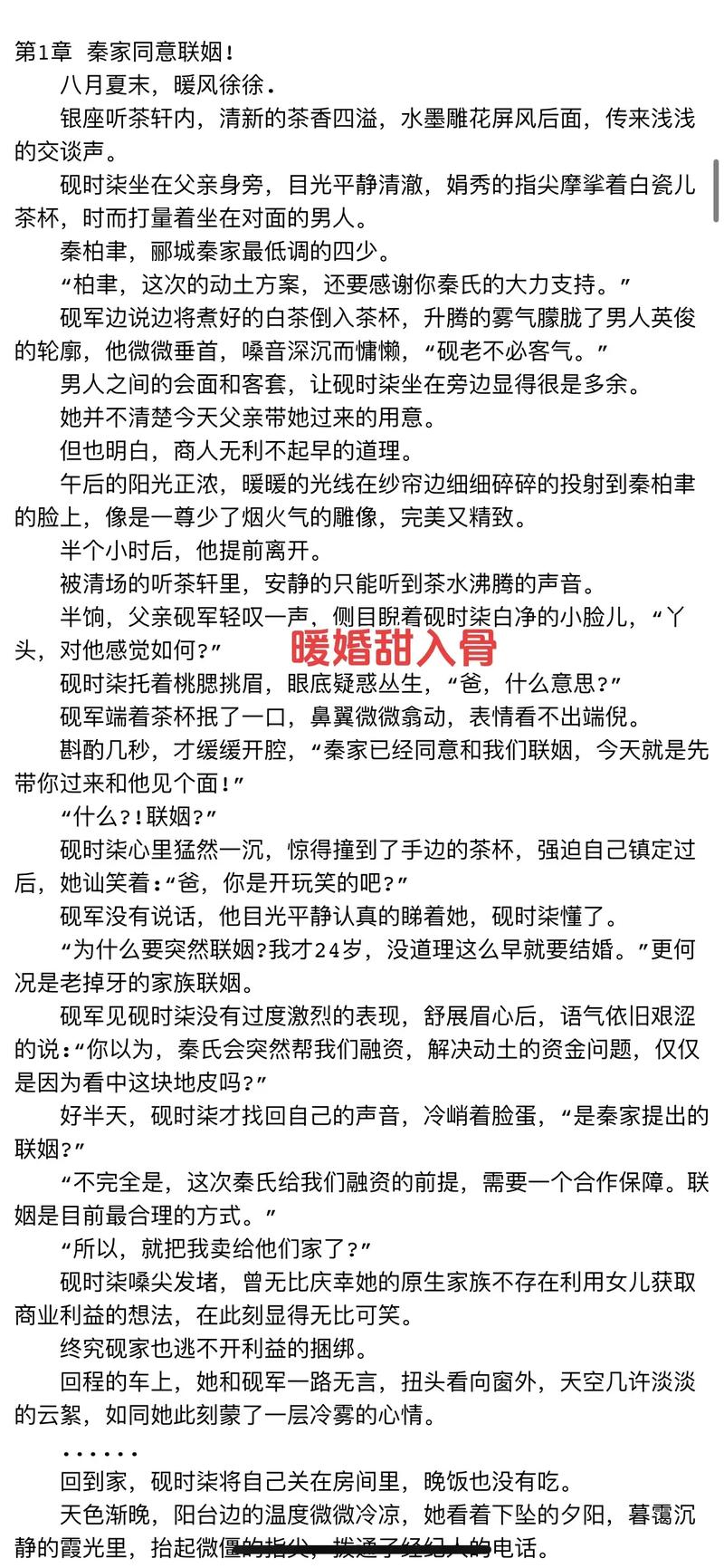 暖玉小说TXT百度网盘下载缩略图