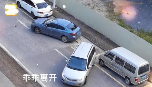 倒车抢车位碰撞怎么算游戏截图