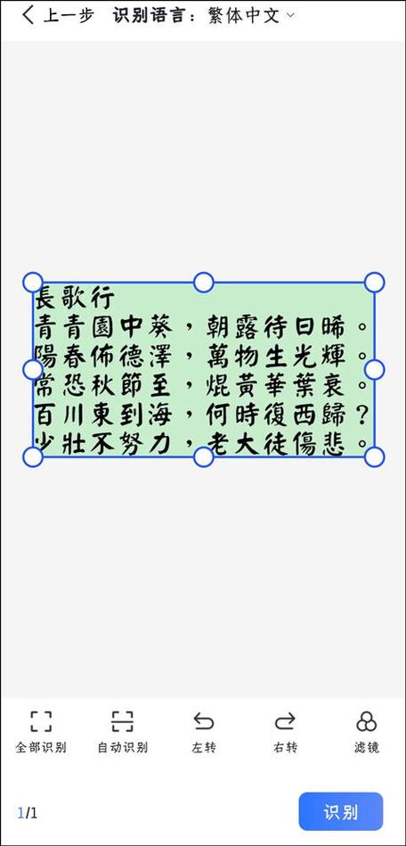 扫一扫识别繁体字游戏截图