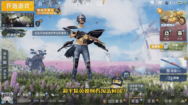 和平精英淘汰效果怎么设置图标