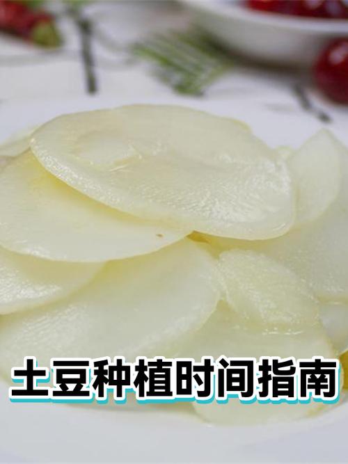 种土豆的正确时间图标