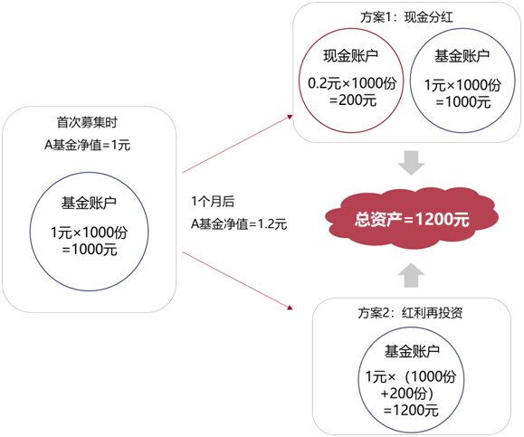 基金的红利再投资是什么意思图标