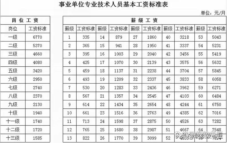 职称级别一览表游戏截图