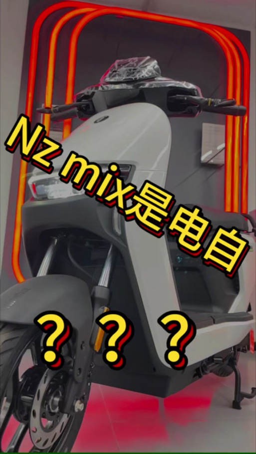 九号NZ电动车真假查询缩略图