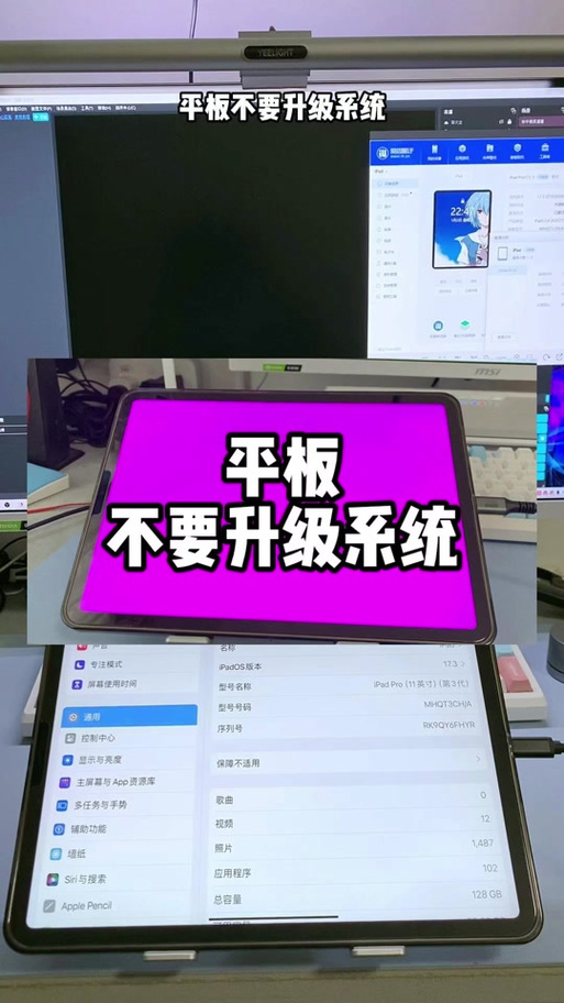 苹果ipad玩游戏闪退怎么修复游戏截图