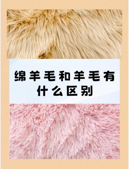 绵羊毛和羊毛的区别是什么?图标