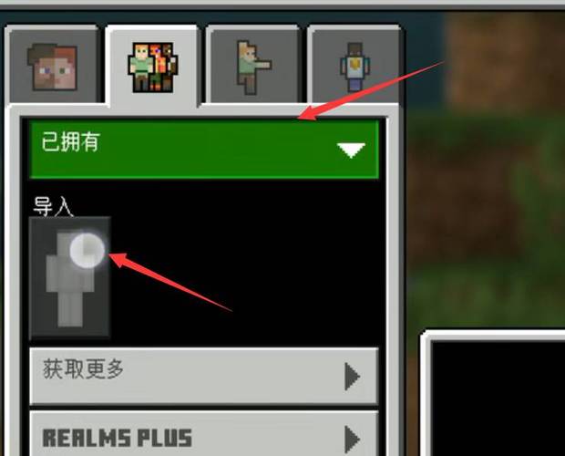 我的世界pc国际服皮肤导入图片大全下缩略图