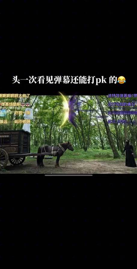 电视看弹幕的办法游戏截图