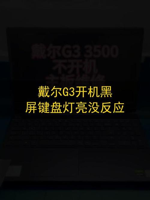 开机键盘闪了一下就没反应了游戏截图