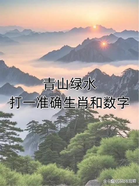 最能用心的人打一生肖最佳答案图标