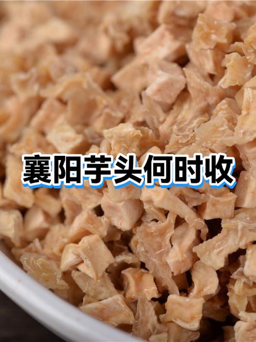 芋头是伤肾还是补肾缩略图
