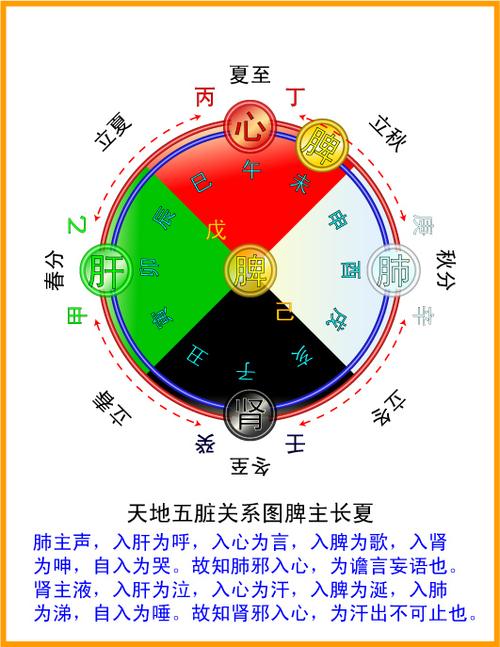 怎么看孩子五行缺什么查询缩略图