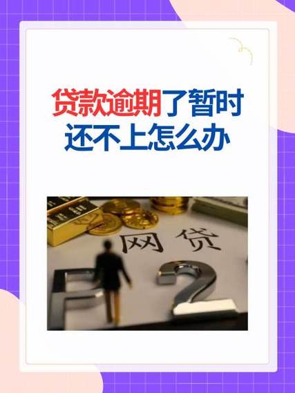 期待合伙人还不上咋办缩略图