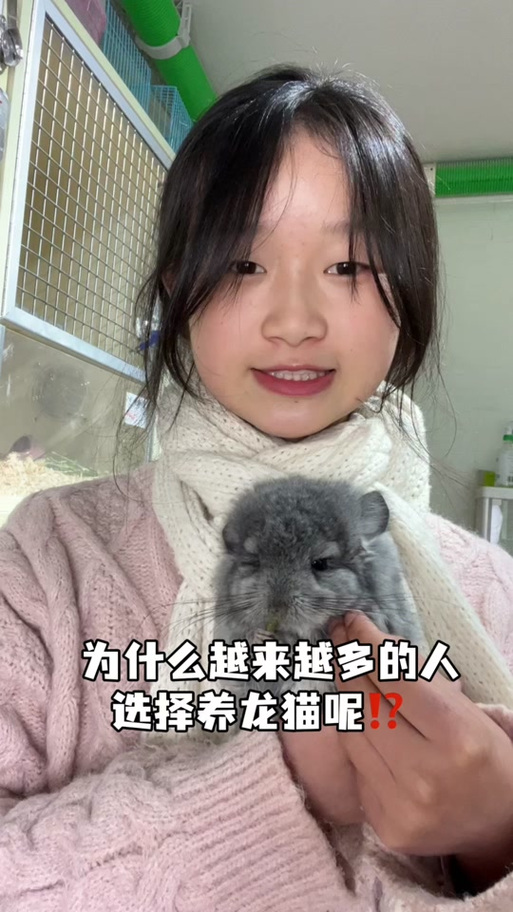 龙猫众包标注任务怎么学图标