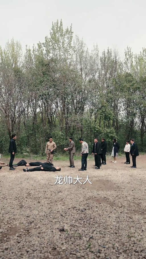龙帅大人至尊