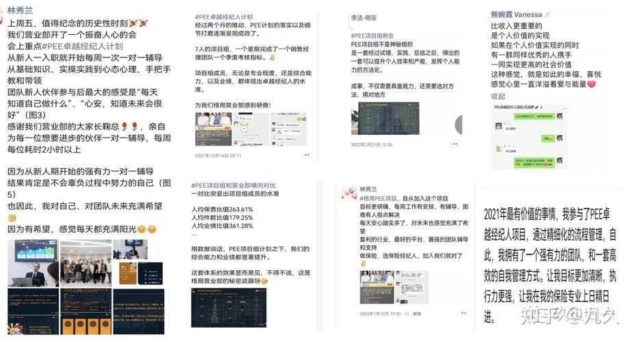 兼职考拉是不是真的缩略图
