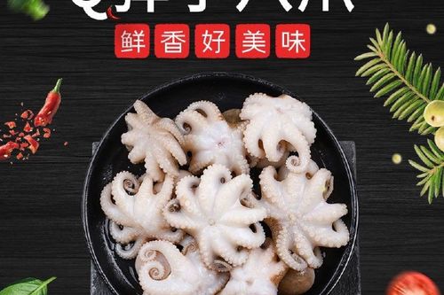 迷你小八爪鱼怎么清洗缩略图