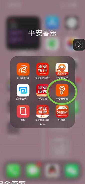 平安金管家官方下载最新版缩略图