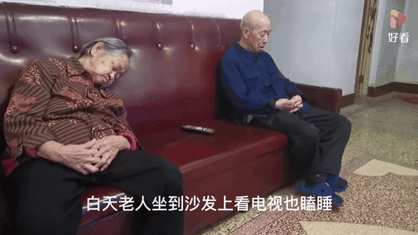 老张的快乐生活全部视频缩略图