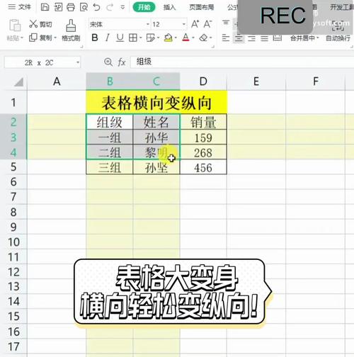 word怎么把横向表格转成纵向游戏截图