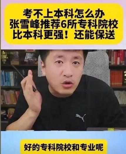 张雪峰评价北京的大学图标