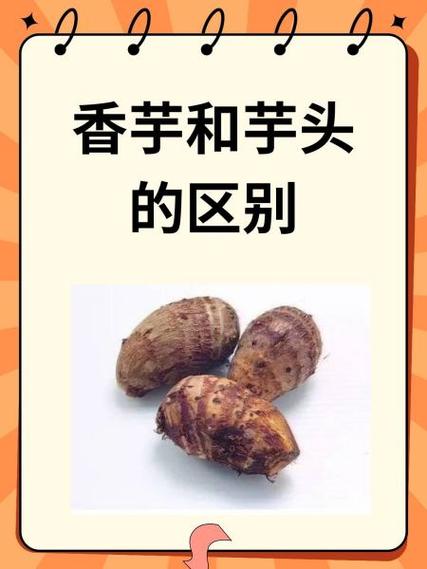 芋头炒南瓜到底是香芋还是芋头缩略图