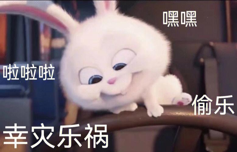 萌宠大作战兔子表情包图标