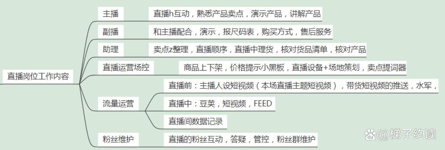 直播运营工作内容图标