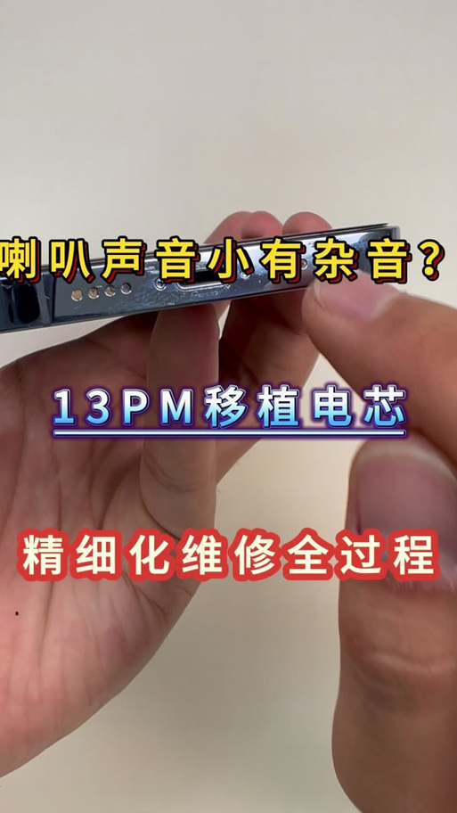 苹果手机扬声器有滋滋声的原因游戏截图