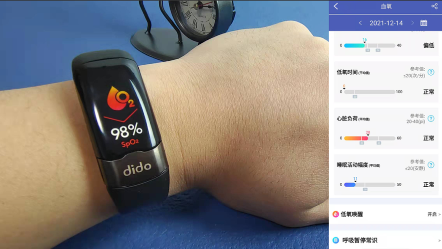 dido d2手环软件缩略图