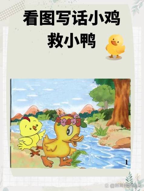 小鸭救小鸡看图写话二年级缩略图
