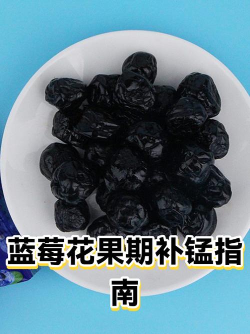 蓝莓树多长时间结果缩略图