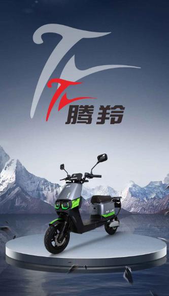 国标电动车骑起来为什么老响缩略图