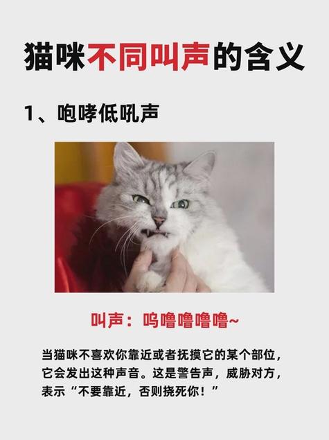 女生说喵喵喵暗示什么缩略图