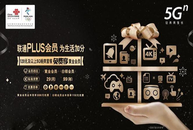 会员plus版什么意思图标