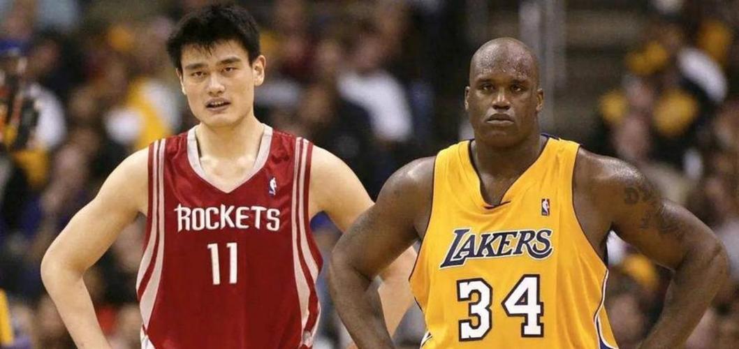 巅峰姚明和巅峰奥尼尔单挑谁厉害游戏截图