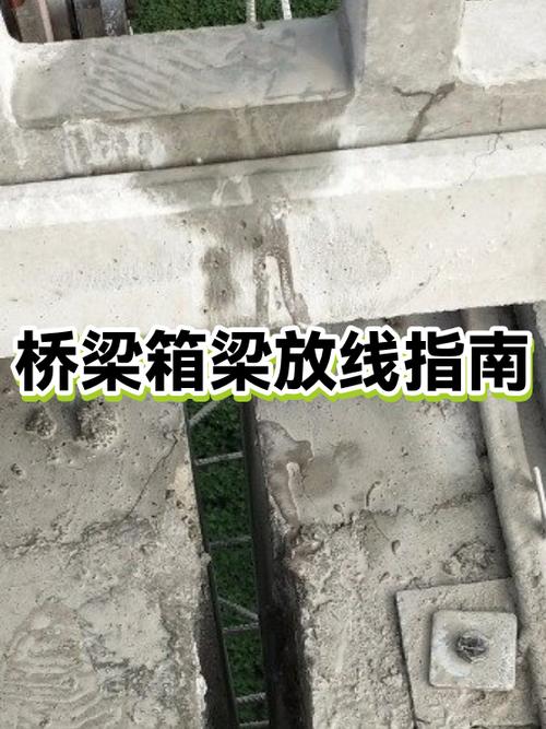 桥梁施工放线方法图解图标
