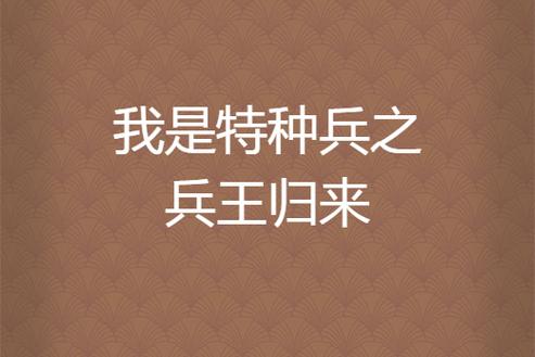 我是特种兵之兵王归来图标