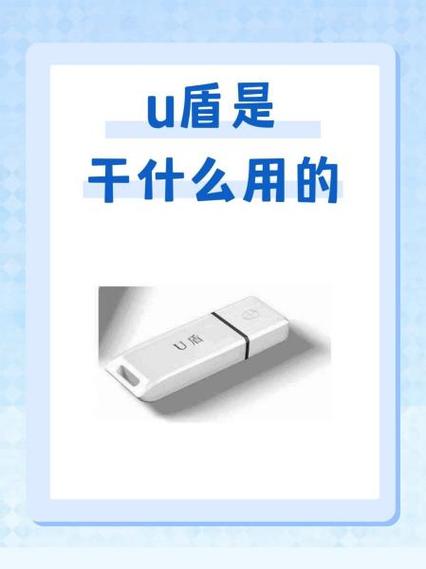 u盾借给合伙人风险大吗?缩略图