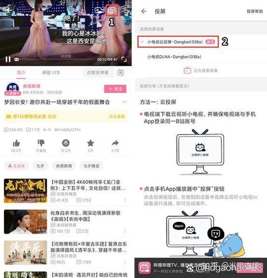 bilibili电视端怎么开弹幕缩略图