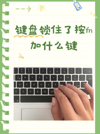 alt键被锁住了按fn加什么键解锁缩略图
