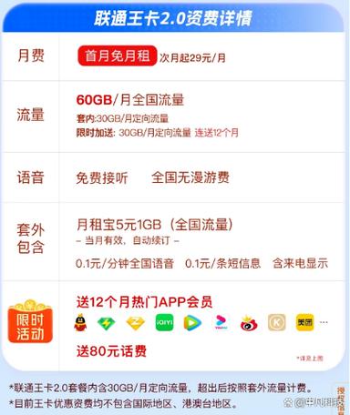 联通大王卡29元套餐详情缩略图