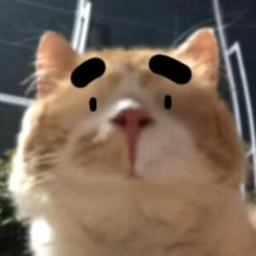 qq表情包那个贱贱的猫叫什么图标